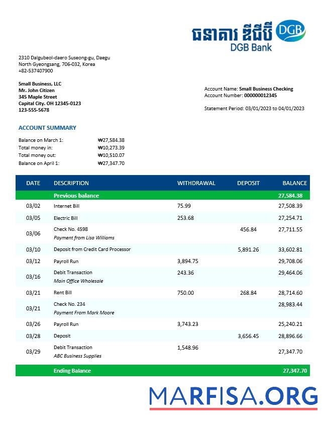 Blank DGB Financial Group business bank statement Word and PDF template